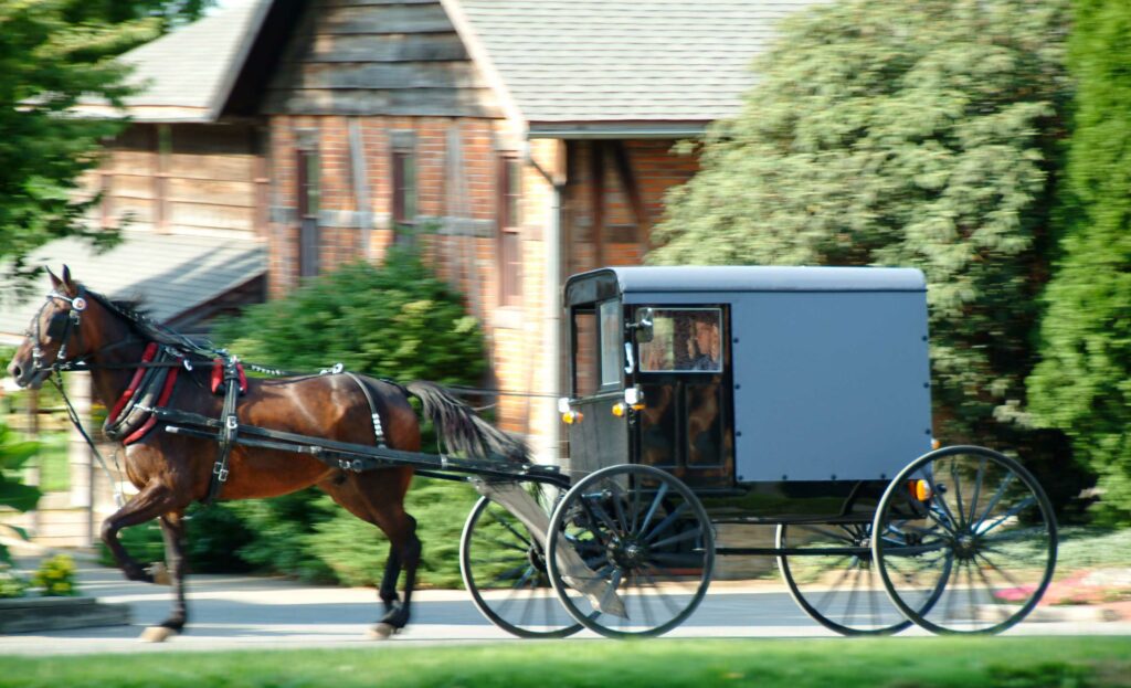 amish horse and buggy